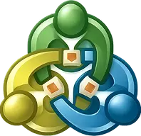 mt5 logo